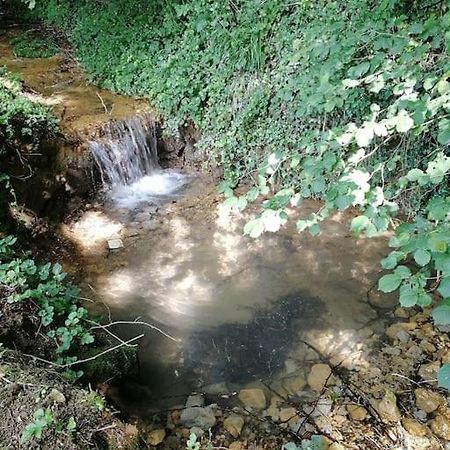 شقة Domaine Moulin De Quincenat Champagnat  المظهر الخارجي الصورة