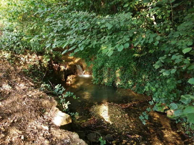 شقة Domaine Moulin De Quincenat Champagnat  المظهر الخارجي الصورة